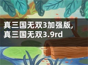 真三国无双3加强版,真三国无双3.9rd