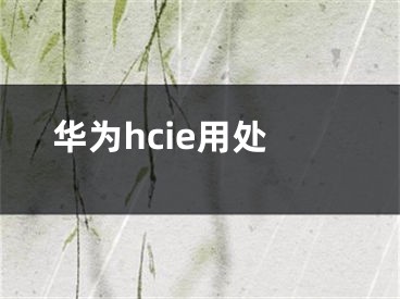 华为hcie用处