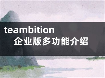 teambition企业版多功能介绍