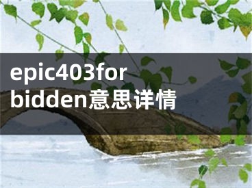 epic403forbidden意思详情