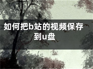 如何把b站的视频保存到u盘