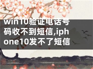 win10验证电话号码收不到短信,iphone10发不了短信