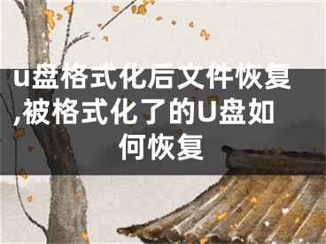 u盘格式化后文件恢复,被格式化了的U盘如何恢复