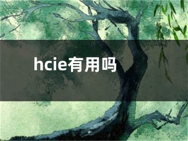 hcie有用吗