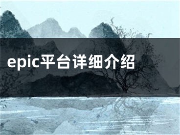 epic平台详细介绍