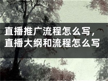 直播推广流程怎么写，直播大纲和流程怎么写