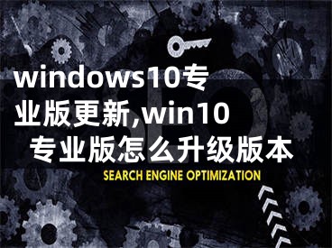 windows10专业版更新,win10专业版怎么升级版本