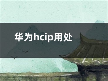 华为hcip用处