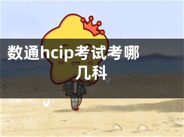 数通hcip考试考哪几科