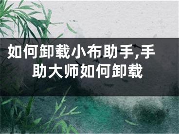 如何卸载小布助手,手助大师如何卸载