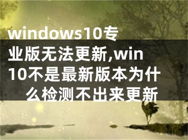 windows10专业版无法更新,win10不是最新版本为什么检测不出来更新