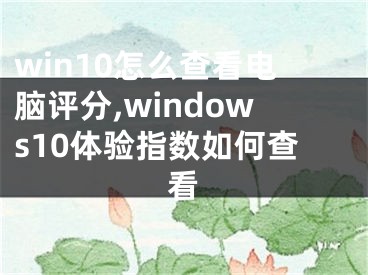 win10怎么查看电脑评分,windows10体验指数如何查看