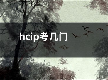 hcip考几门