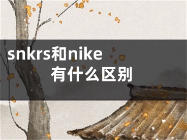 snkrs和nike有什么区别