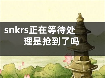 snkrs正在等待处理是抢到了吗