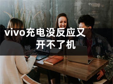 vivo充电没反应又开不了机