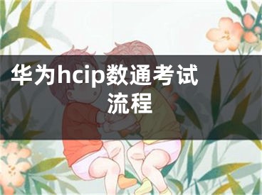 华为hcip数通考试流程