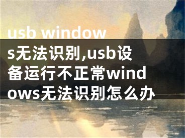 usb windows无法识别,usb设备运行不正常windows无法识别怎么办