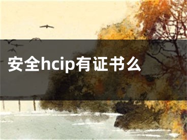 安全hcip有证书么