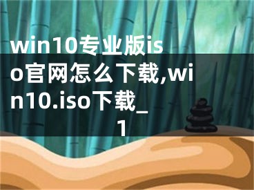 win10专业版iso官网怎么下载,win10.iso下载_1