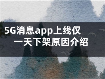 5G消息app上线仅一天下架原因介绍