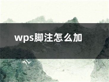 wps脚注怎么加