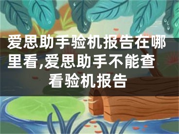 爱思助手验机报告在哪里看,爱思助手不能查看验机报告