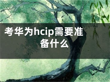 考华为hcip需要准备什么