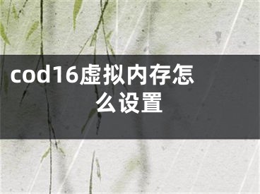 cod16虚拟内存怎么设置