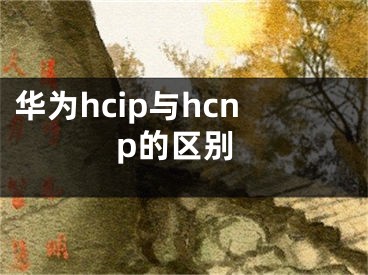 华为hcip与hcnp的区别
