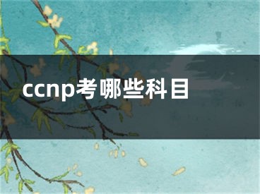 ccnp考哪些科目