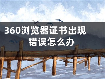 360浏览器证书出现错误怎么办