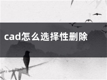 cad怎么选择性删除