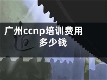 广州ccnp培训费用多少钱