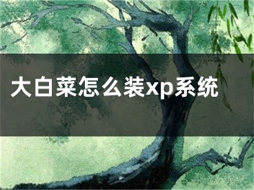 大白菜怎么装xp系统