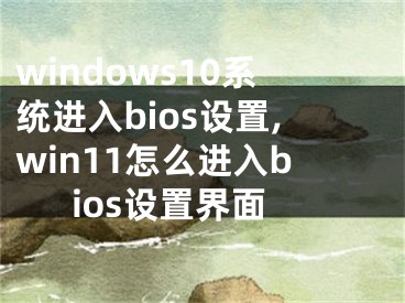 windows10系统进入bios设置,win11怎么进入bios设置界面