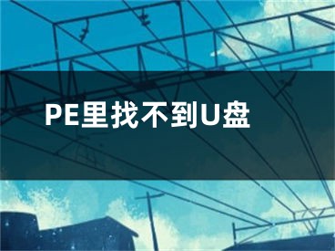 PE里找不到U盘
