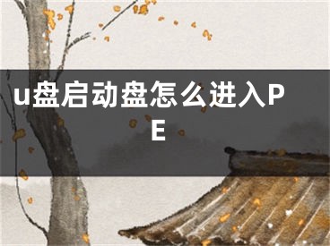 u盘启动盘怎么进入PE