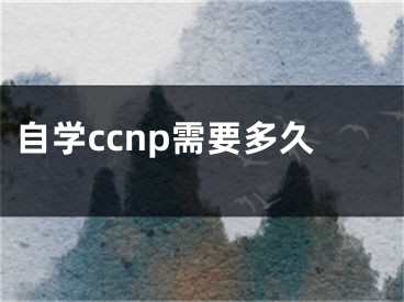 自学ccnp需要多久