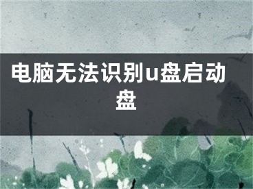 电脑无法识别u盘启动盘