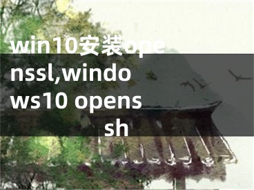 win10安装openssl,windows10 openssh