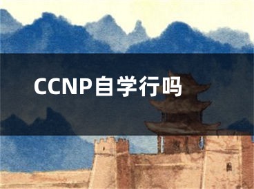 CCNP自学行吗