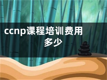 ccnp课程培训费用多少