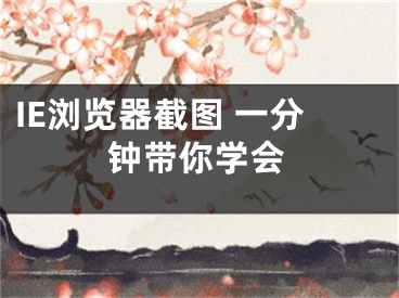 IE浏览器截图 一分钟带你学会