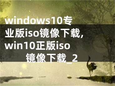 windows10专业版iso镜像下载,win10正版iso镜像下载_2