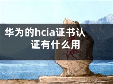 华为的hcia证书认证有什么用