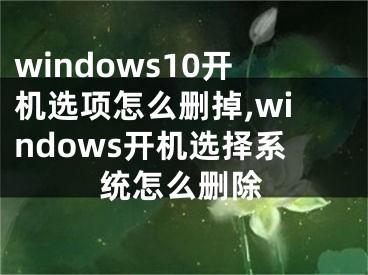 windows10开机选项怎么删掉,windows开机选择系统怎么删除