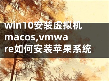 win10安装虚拟机macos,vmware如何安装苹果系统
