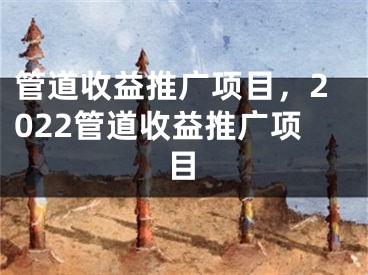 管道收益推广项目，2022管道收益推广项目