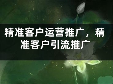 精准客户运营推广，精准客户引流推广